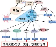 官方：Doinb英超的传控数据真的简单介绍